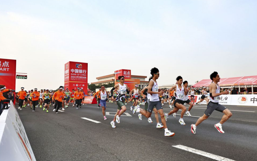 乐鱼体育入口的安全性与可靠性分析