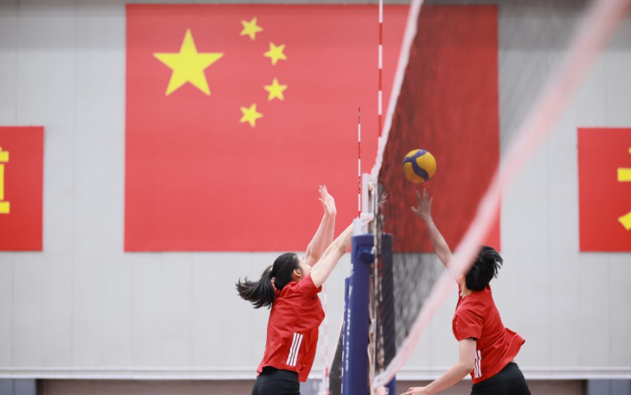 乐鱼体育官方入口与其他平台对比